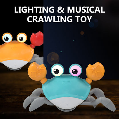 The Crawling Crab Musical Toy