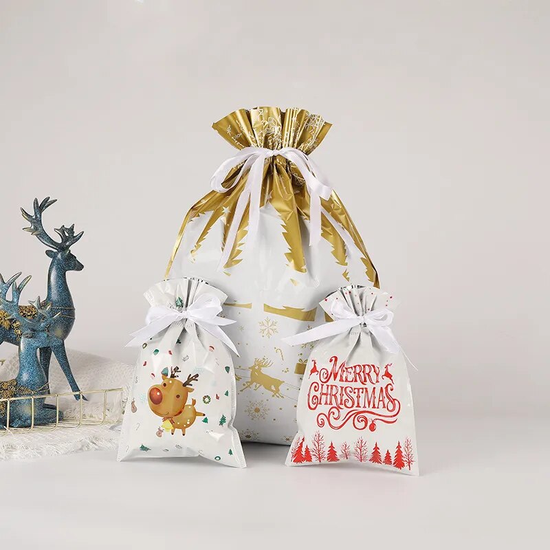 Magic Christmas Gift Bags